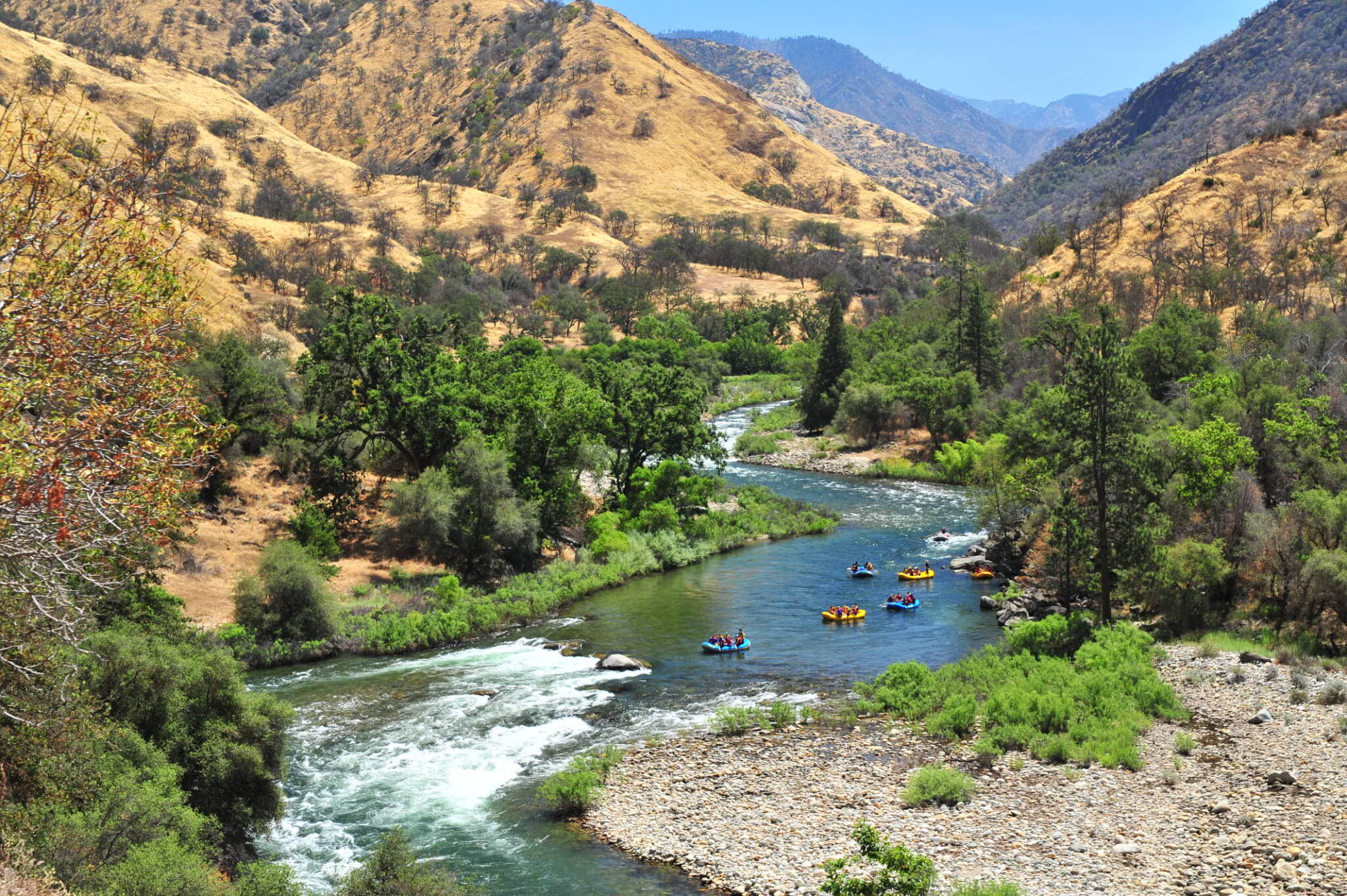 Kings River Trips in California Zephyr Whitewater Rafting